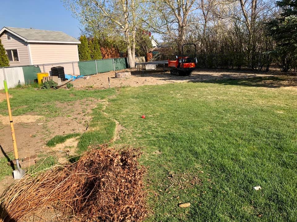 Lawn before restoration